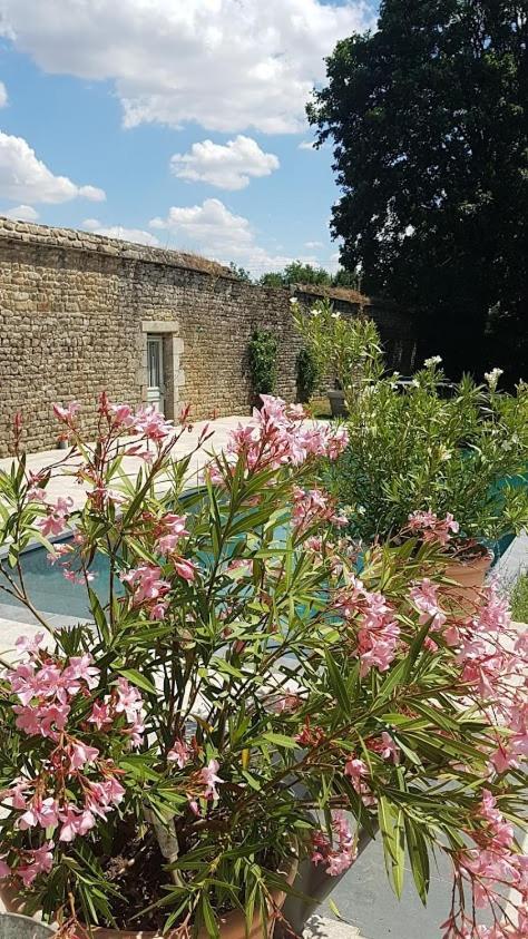 Hostal L'Annexe Du Plessis Bochard Saint-Pierre-des-Nids Exterior foto